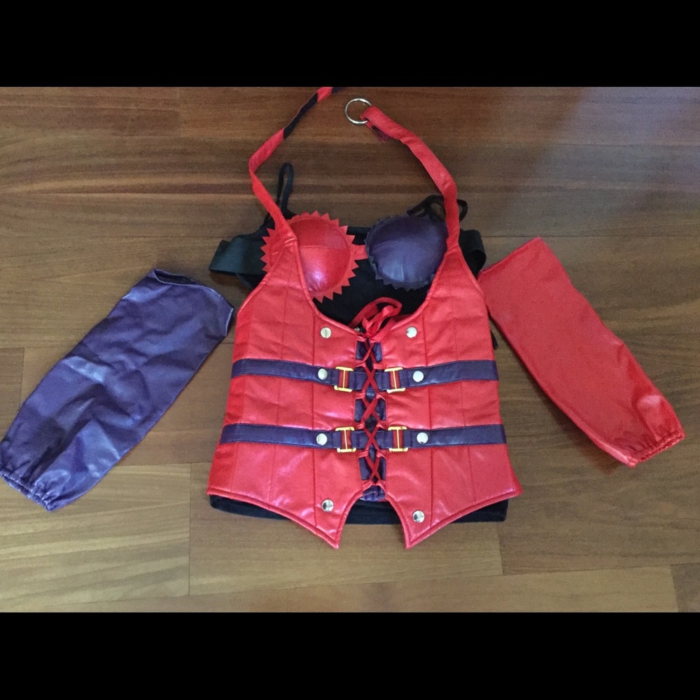 COPY - Sexy Harley Quinn Costume